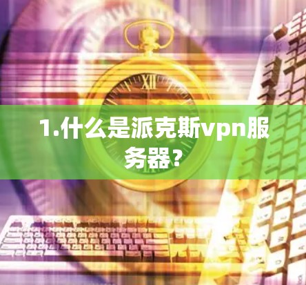 1.什么是派克斯vpn服务器?