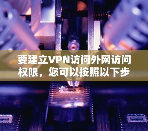要建立VPN访问外网访问权限，您可以按照以下步骤操作