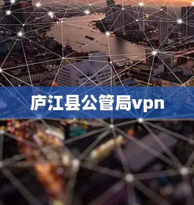 庐江县公管局vpn