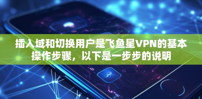 插入域和切换用户是飞鱼星VPN的基本操作步骤，以下是一步步的说明