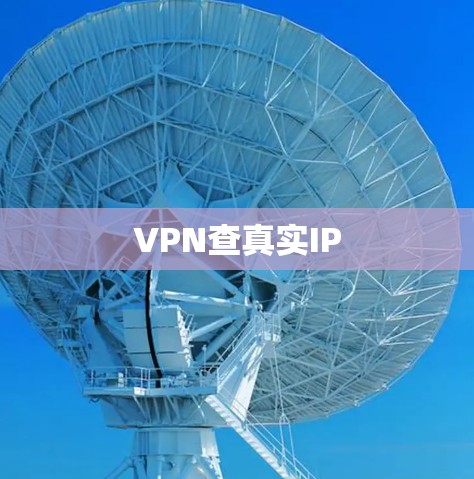 VPN查真实IP