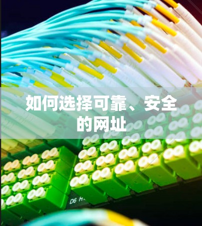 如何选择可靠、安全的网址