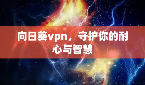 向日葵vpn,守护你的耐心与智慧