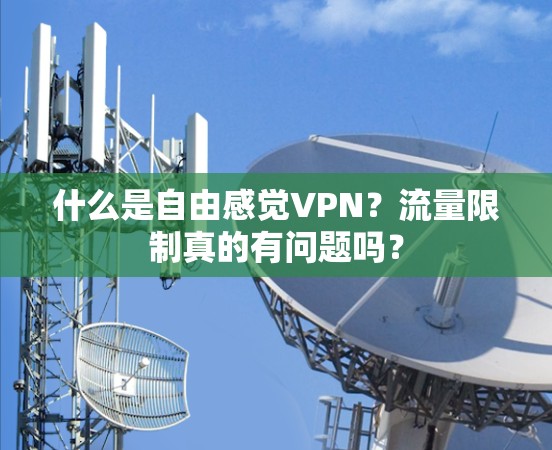 什么是自由感觉VPN？流量限制真的有问题吗？