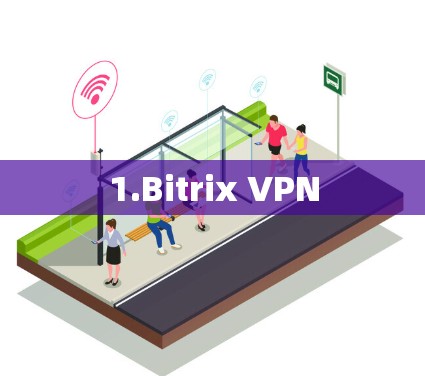 1.Bitrix VPN