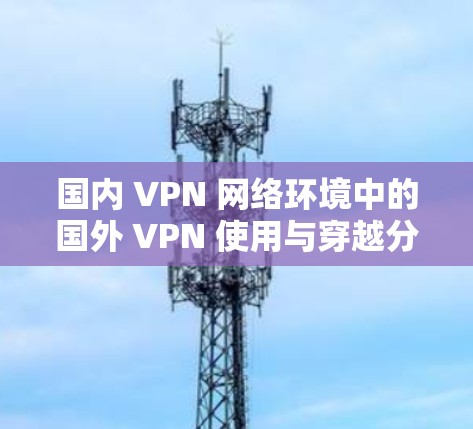 国内 VPN 网络环境中的国外 VPN 使用与穿越分析