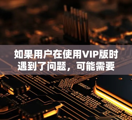 如果用户在使用VIP版时遇到了问题，可能需要检查以下几点