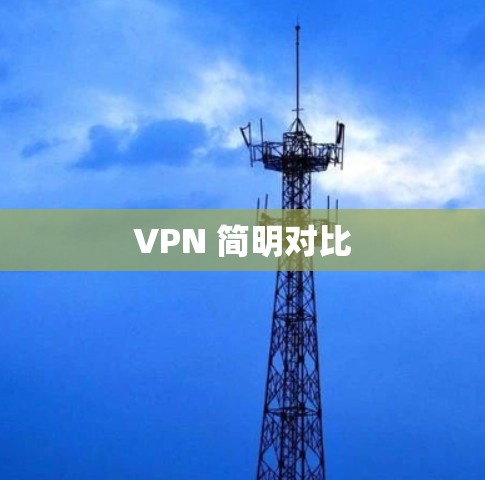 VPN 简明对比