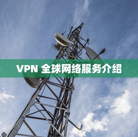 VPN 全球网络服务介绍
