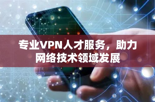 专业VPN人才服务，助力网络技术领域发展