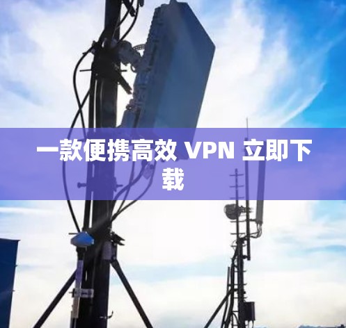 一款便携高效 VPN 立即下载