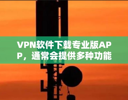 VPN软件下载专业版APP，通常会提供多种功能和安全性选项，以满足不同用户的需求。以下是几种常用的VPN软件及其特点