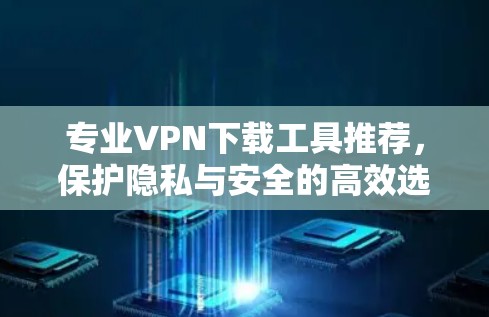 专业VPN下载工具推荐，保护隐私与安全的高效选择