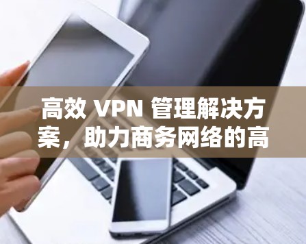 高效 VPN 管理解决方案，助力商务网络的高效沟通