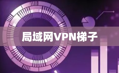 局域网VPN梯子 局域网VPN梯子