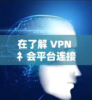 在了解 VPN 礻会平台连接的问题后，以下是详细的解决方案