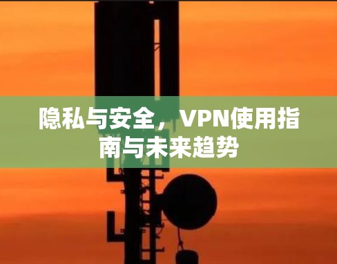 隐私与安全，VPN使用指南与未来趋势