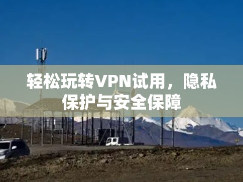 轻松玩转VPN试用,隐私保护与安全保障