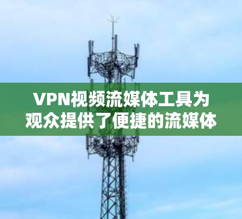 VPN视频流媒体工具为观众提供了便捷的流媒体观看方式，尤其是对于那些希望依赖VPN连接本地服务器的用户。以下是对这些工具的详细总结和使用指南