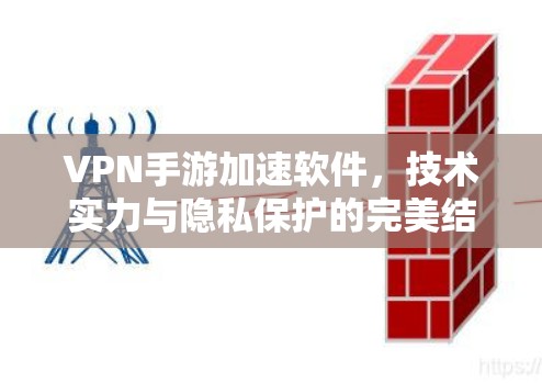 VPN手游加速软件，技术实力与隐私保护的完美结合