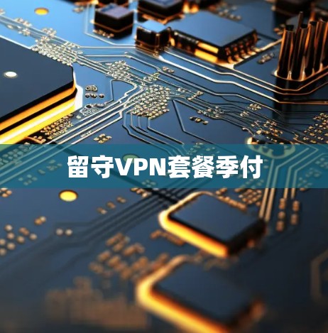 留守VPN套餐季付