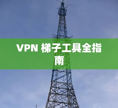 VPN 梯子工具全指南