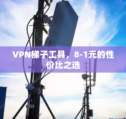 VPN梯子工具，8-1元的性价比之选