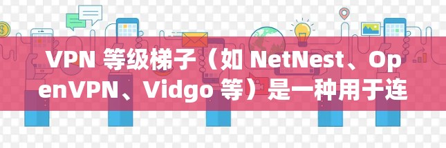 VPN 等级梯子（如 NetNest、OpenVPN、Vidgo 等）是一种用于连接多台VPN服务器的工具，通常包括防火墙设备、防火墙插件、加密工具等。以下是关于 VPN 等级梯子的详细体验评估