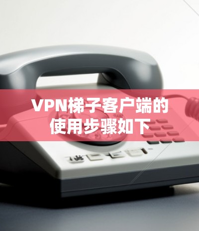VPN梯子客户端的使用步骤如下 VPN梯子客户端的使用步骤如下