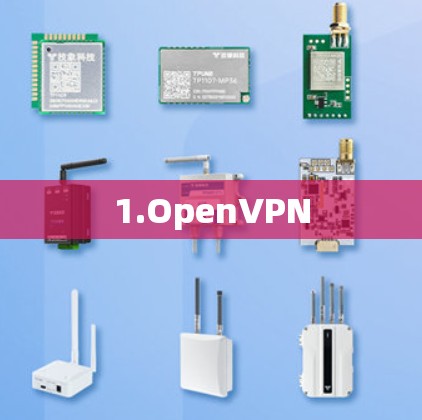 1.OpenVPN