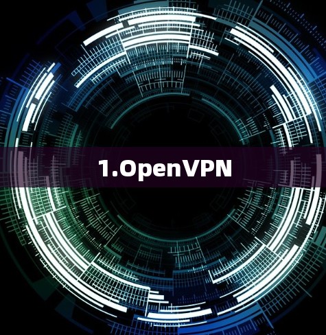 1.OpenVPN 1.OpenVPN