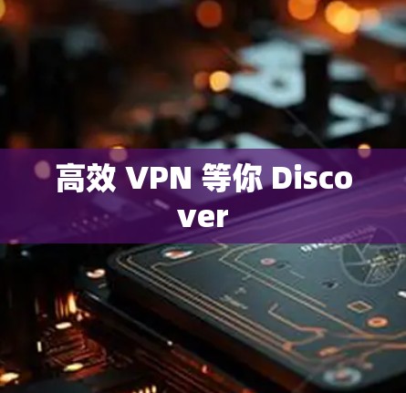 高效 VPN 等你 Discover