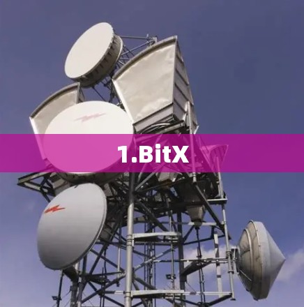 1.BitX