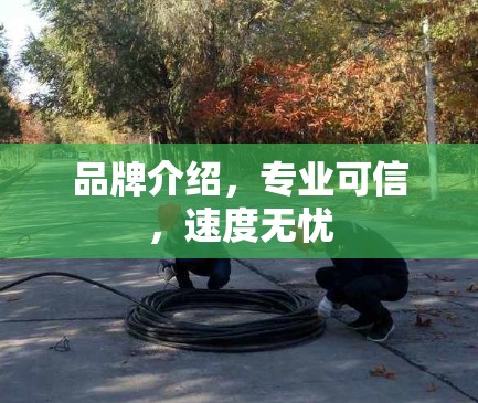 品牌介绍,专业可信,速度无忧