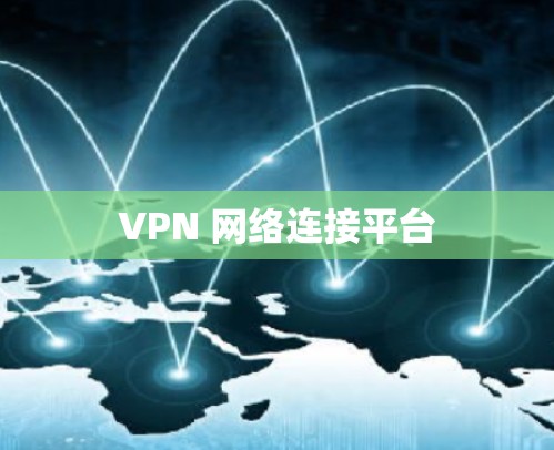 VPN 网络连接平台