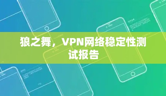 狼之舞,VPN网络稳定性测试报告