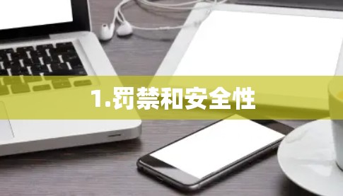 1.罚禁和安全性