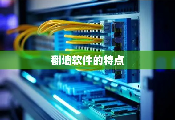 <strong>翻墙软件</strong>的特点