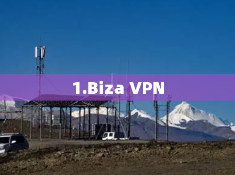 1.Biza VPN