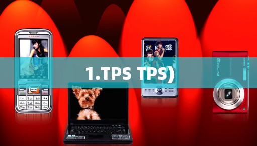1.TPS TPS)