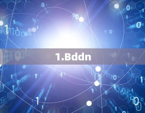 1.Bddn