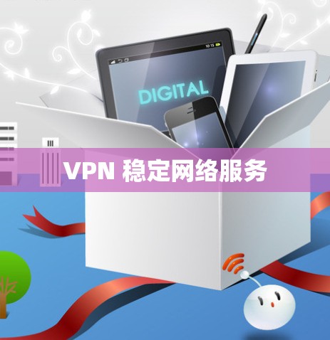 VPN 稳定网络服务