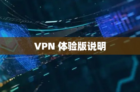 VPN 体验版说明