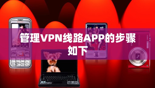 管理VPN线路APP的步骤如下