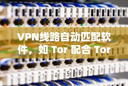 VPN线路自动匹配软件，如 Tor 配合 Tor 直播或 Tor 配合 Tor 会议，是一种帮助用户高效连接到 Tor 直播和 Tor 会议的工具。以下是使用这些软件的详细步骤和推荐