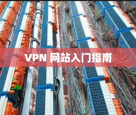 VPN 网站入门指南