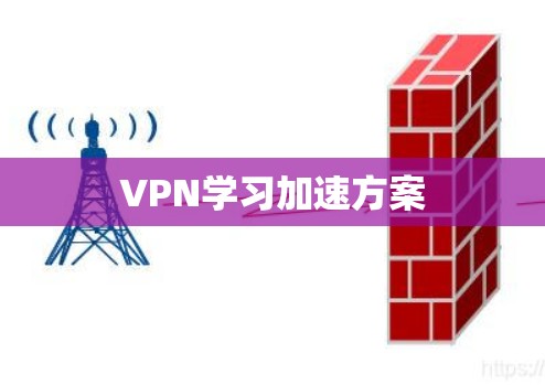 VPN学习加速方案