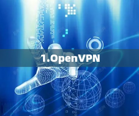 1.OpenVPN