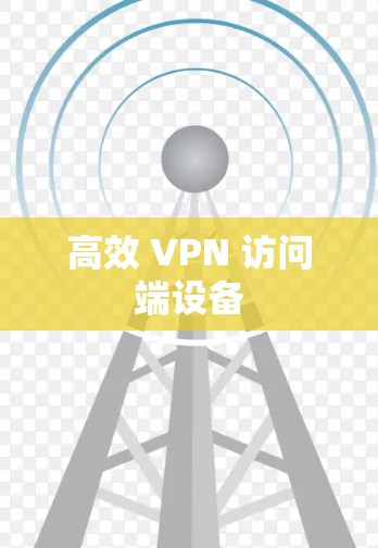 高效 VPN 访问端设备