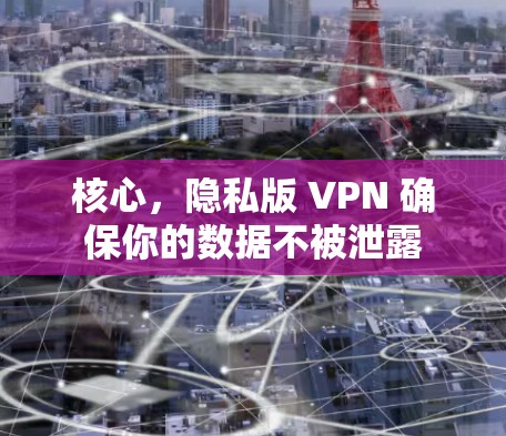 核心,隐私版 VPN 确保你的数据不被泄露